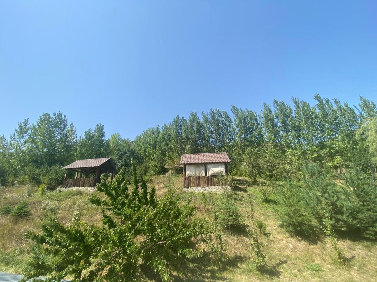 Hotel Nirvana Dilijan Exterior photo