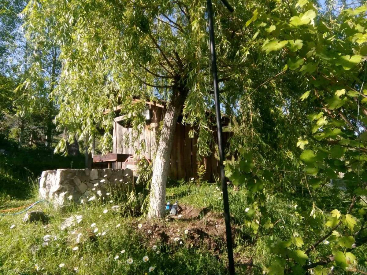 Hotel Nirvana Dilijan Exterior photo